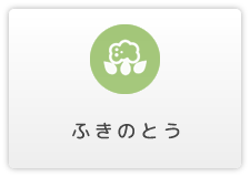 ふきのとう